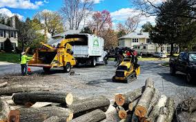 Seasonal Cleanup in Deer Lodge, MT